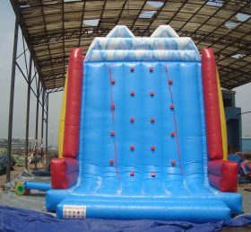 T11-458 विशालकाय inflatable
