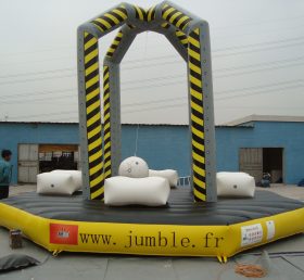 T11-681 विशालकाय inflatable