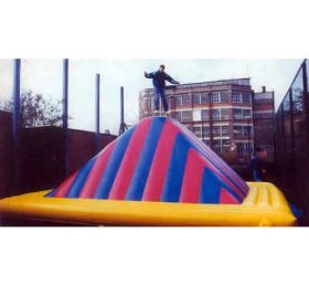 T11-716 विशालकाय inflatable
