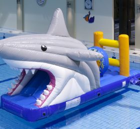 WG1-021 पूल शार्क पानी के खेल