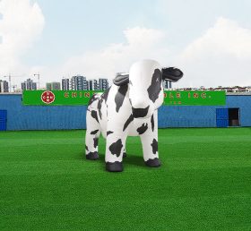 S4-531 वातित गाय