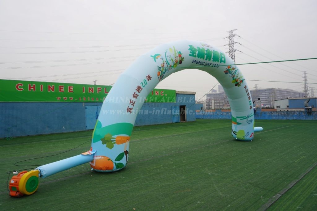 Arch2-401 Inflatable Arch